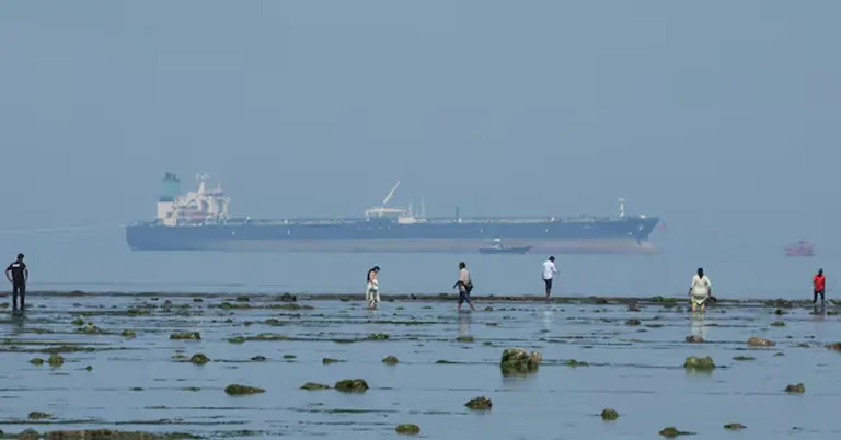 সামুদ্রিক প্রাণী দেখছেন পর্যটকেরা